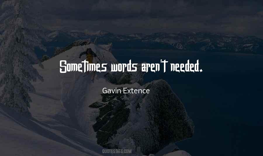 Sometimes No Words Are Needed Quotes #598352