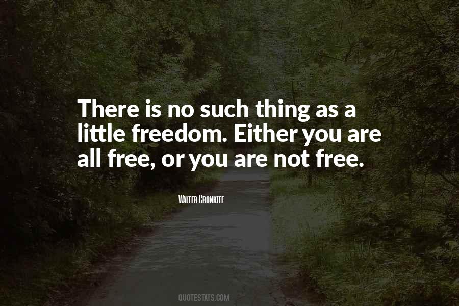 Quotes About Walter Cronkite #1030325