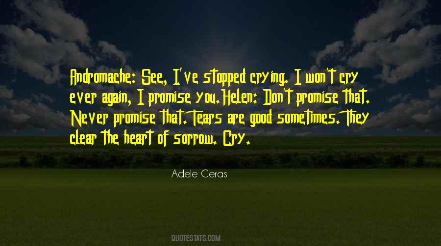 Sometimes Tears Quotes #656154