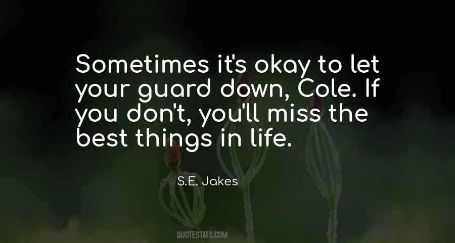 Sometimes The Best Things In Life Quotes #177916