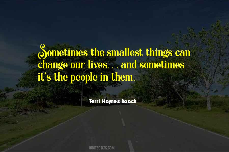 Sometimes The Smallest Things Quotes #187147