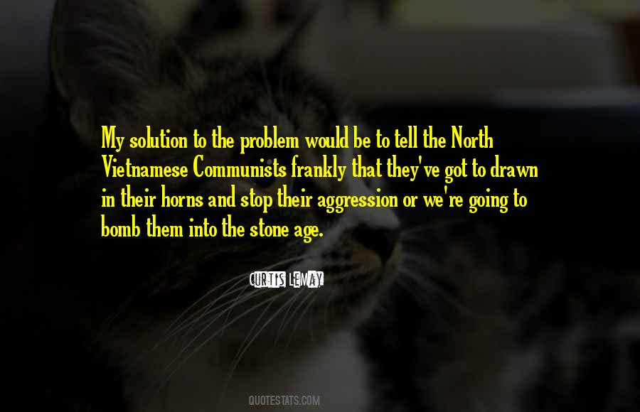 Sometimes There Is No Solution Quotes #10845