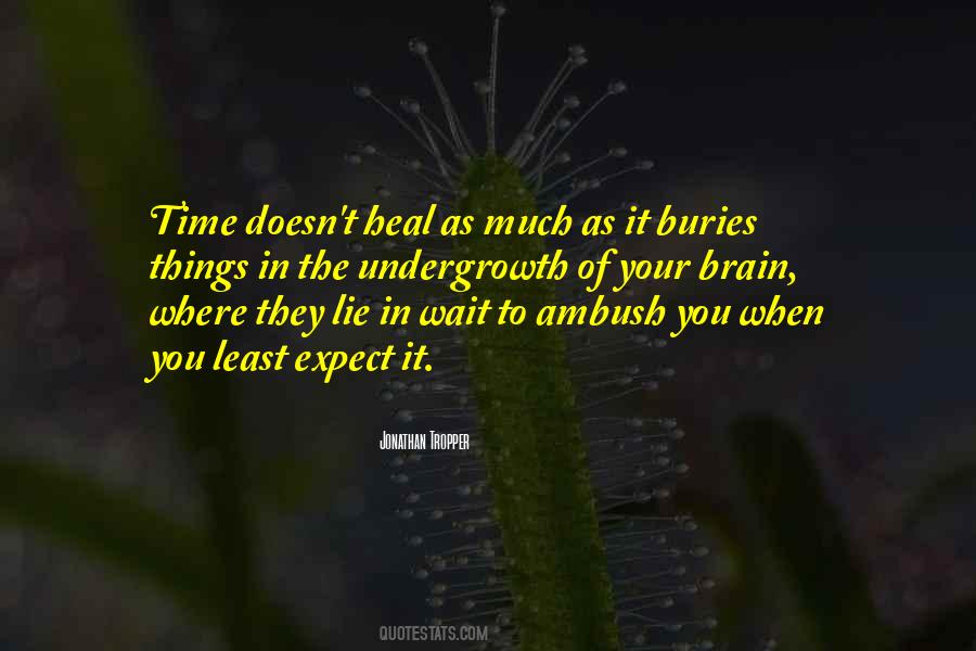 Sometimes Time Doesn't Heal Quotes #871872