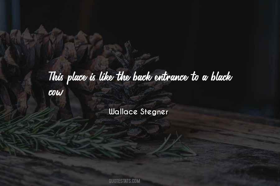 Quotes About Wallace Stegner #348309