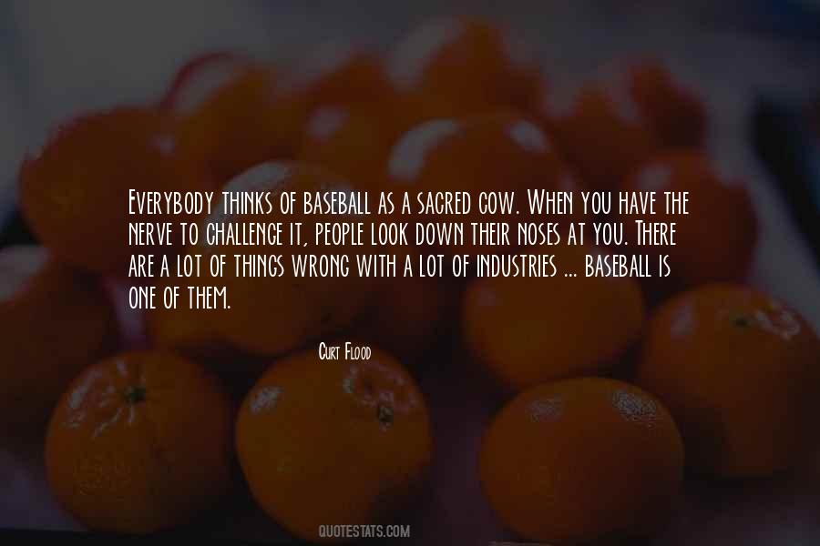 Quotes About Curt Flood #946181