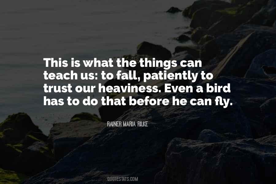 Sometimes You Have To Fall Before You Can Fly Quotes #577540
