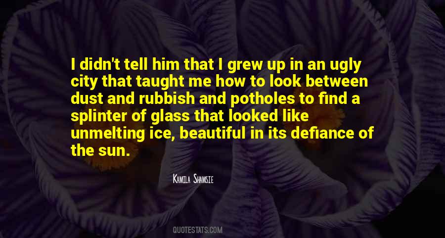 Somewhere Between We Grew Up Quotes #473973