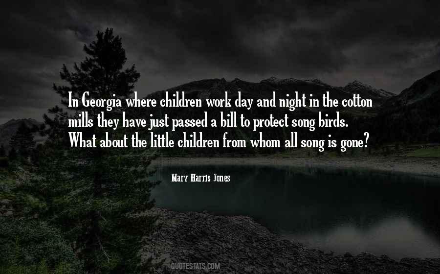 Song Birds Quotes #1019267