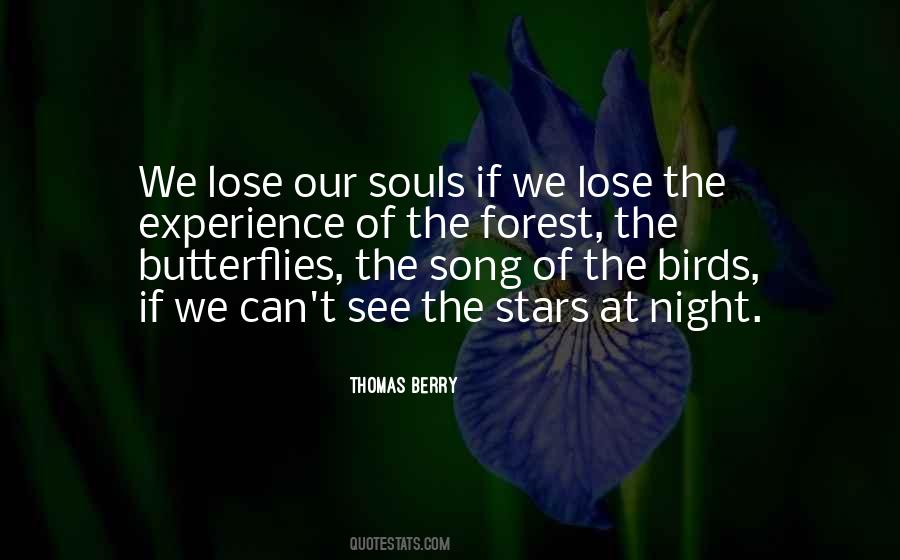 Song Birds Quotes #1363545