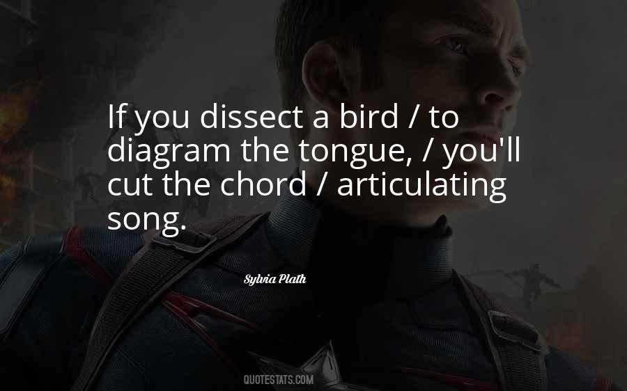 Song Birds Quotes #1838465