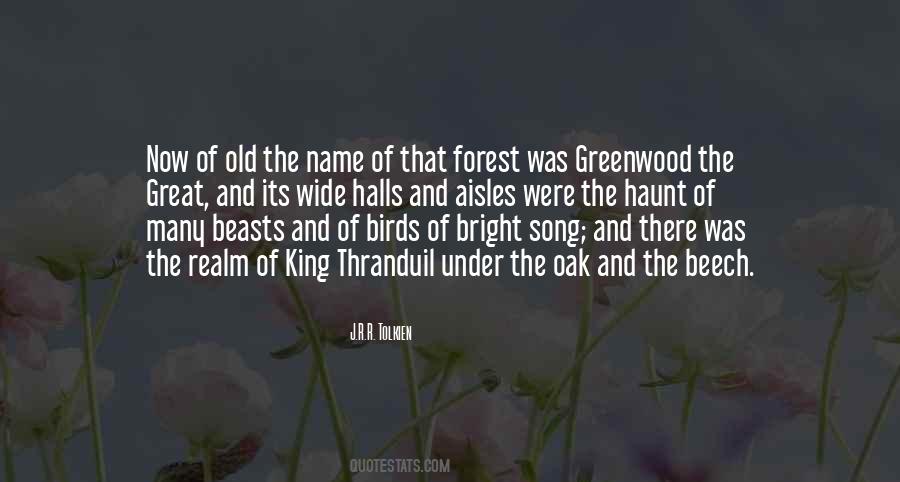 Song Birds Quotes #239365