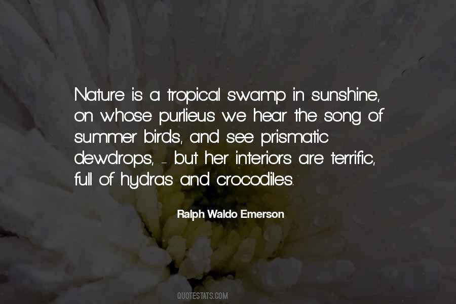 Song Birds Quotes #516409