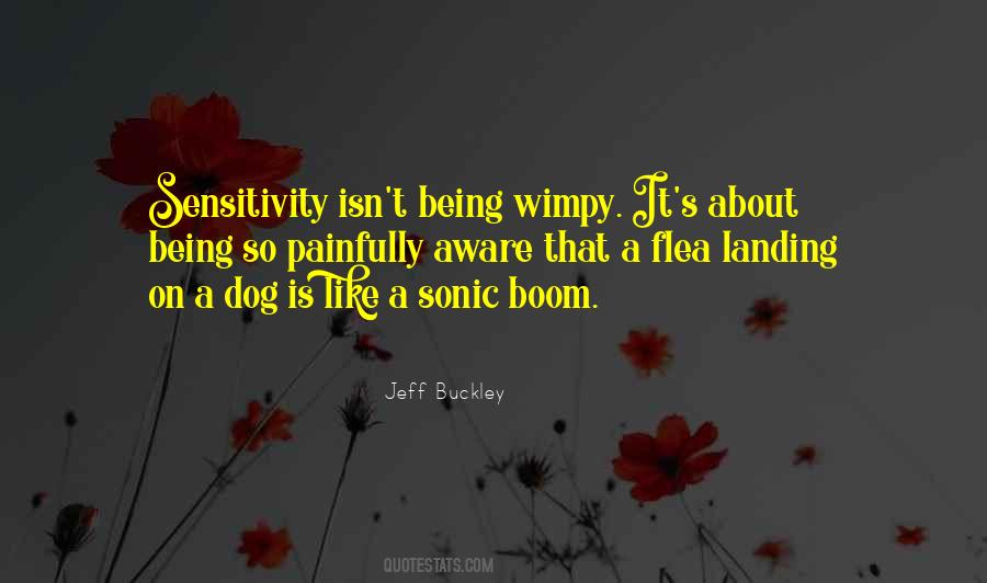 Sonic Boom Quotes #55960