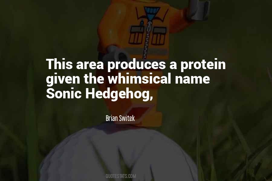 Sonic Hedgehog Quotes #181388