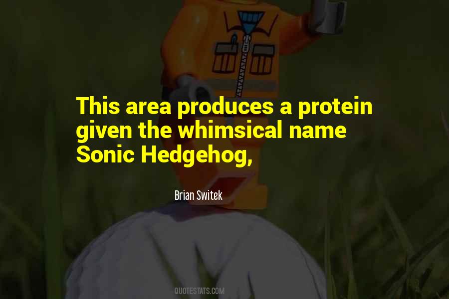 Sonic Quotes #181388