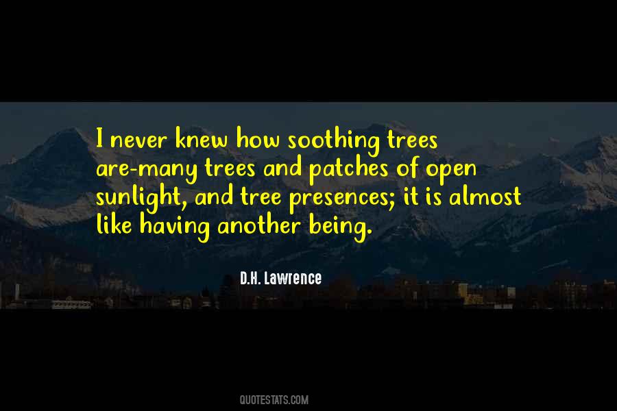 Soothing Nature Quotes #145931