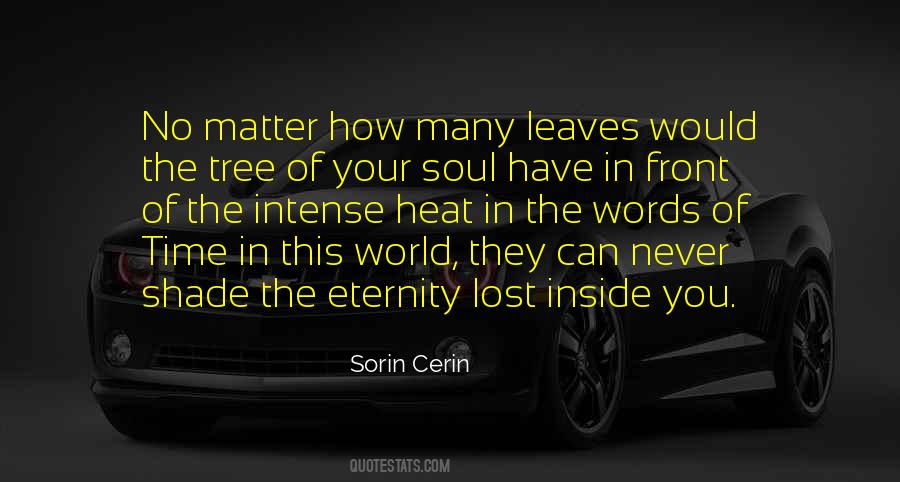 Sorin Quotes #497504