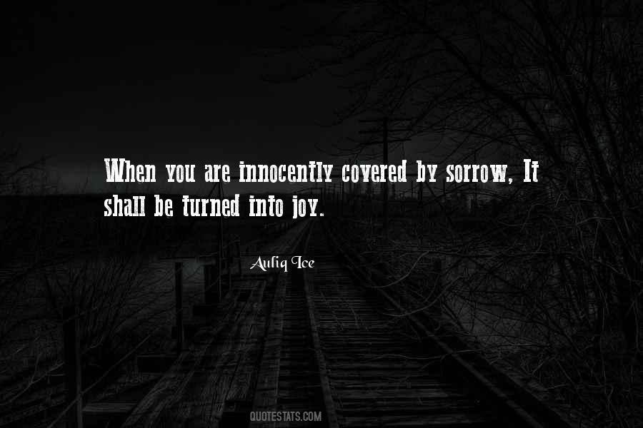 Sorrow Joy Quotes #221886