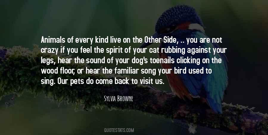 Quotes About Be Kind To Animals #905570