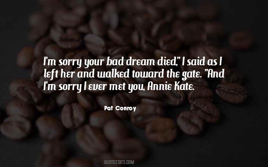 Sorry I Met You Quotes #187271