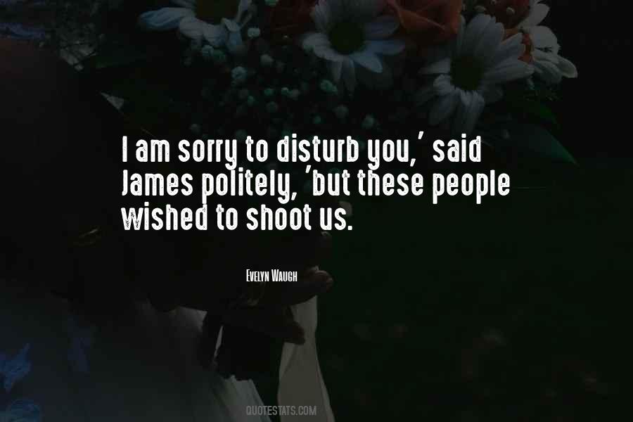 Sorry To Disturb You Quotes #625395