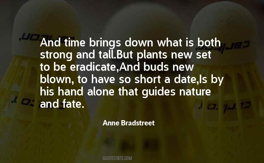 Quotes About Anne Bradstreet #1318075