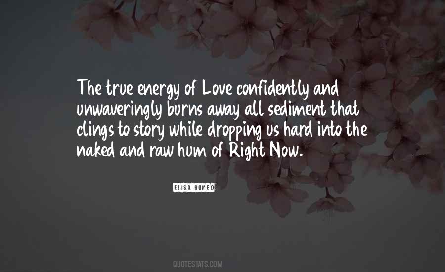 Soul And Energy Quotes #1173799 Soul And Energy Quotes #1173799