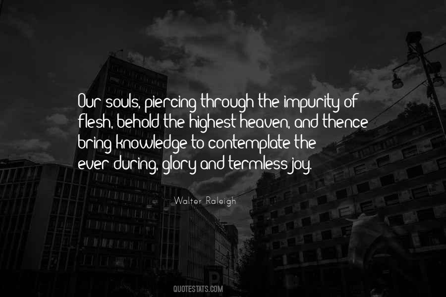 Soul And Flesh Quotes #504363
