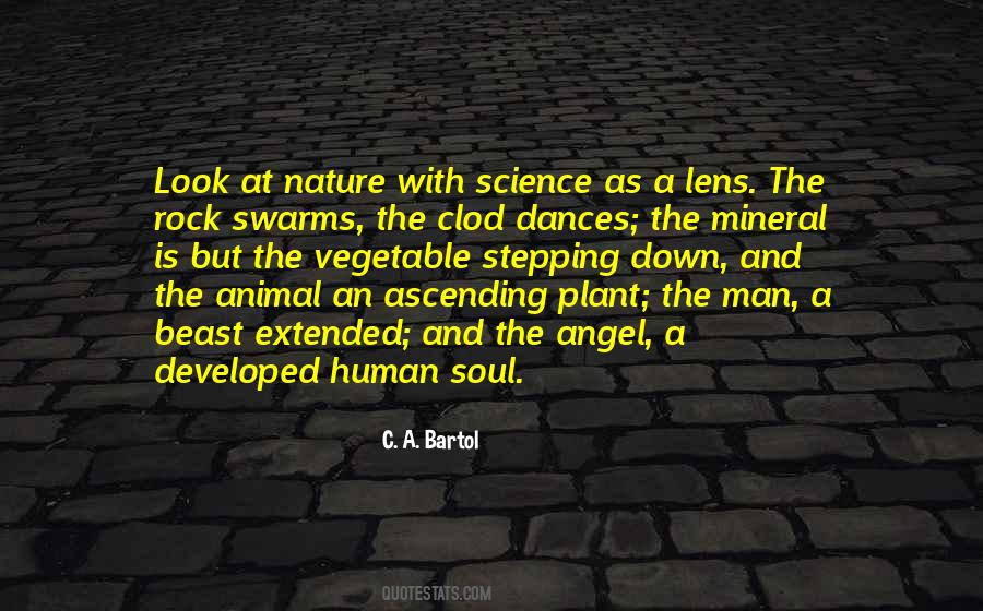 Soul And Nature Quotes #704836
