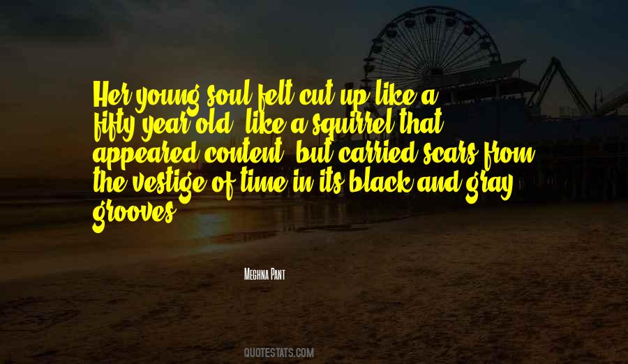 Soul Felt Quotes #1055200