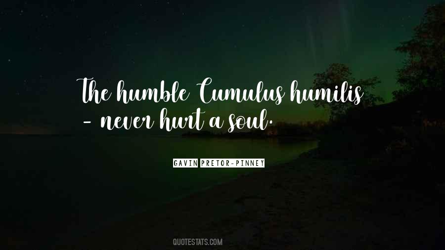 Soul Hurt Quotes #1387704