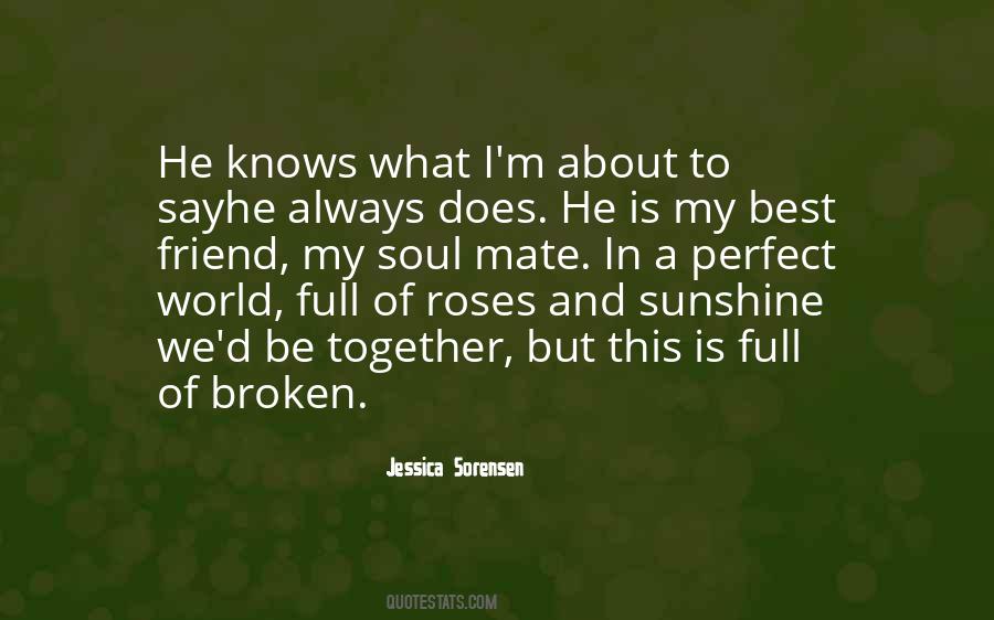 Soul Mate Quotes #1704996