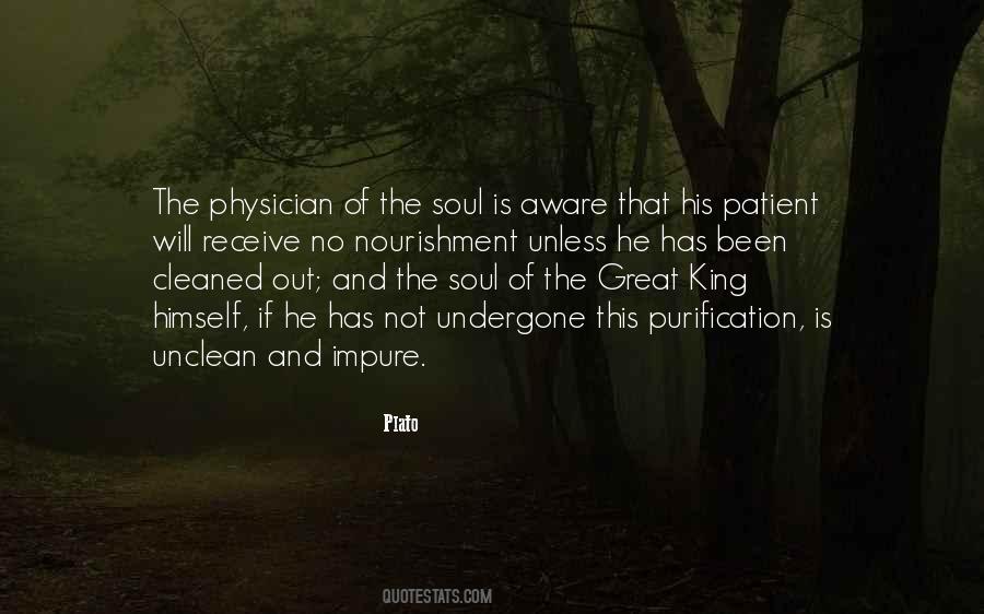 Soul Purification Quotes #287282