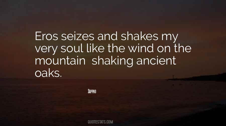 Soul Shaking Quotes #162183