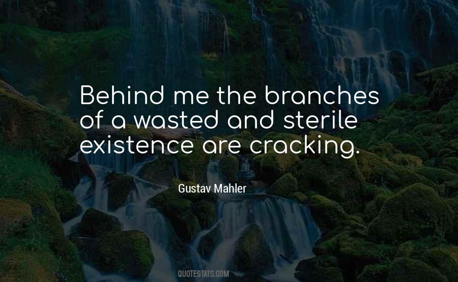 Quotes About Gustav Mahler #1599755