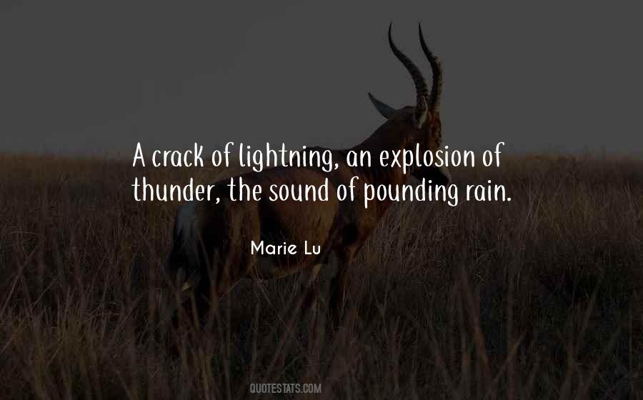 Sound Of Thunder Quotes #569770