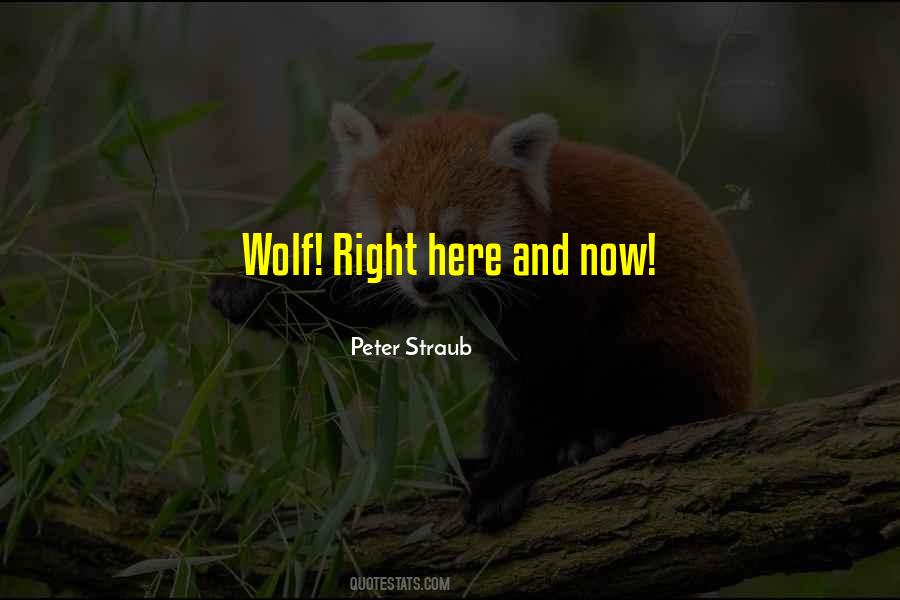 South African Coloured Quotes #266582