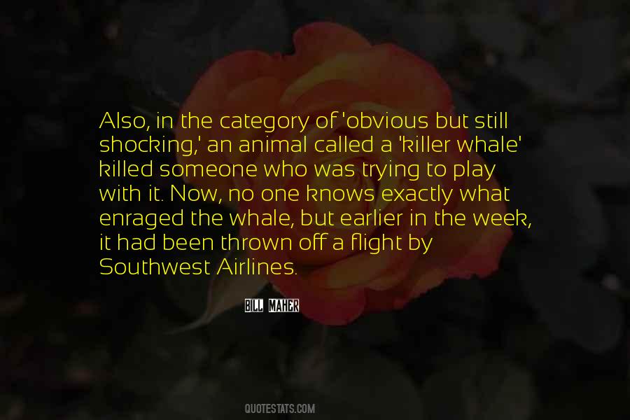 Southwest Airlines Flight Quotes #1267723