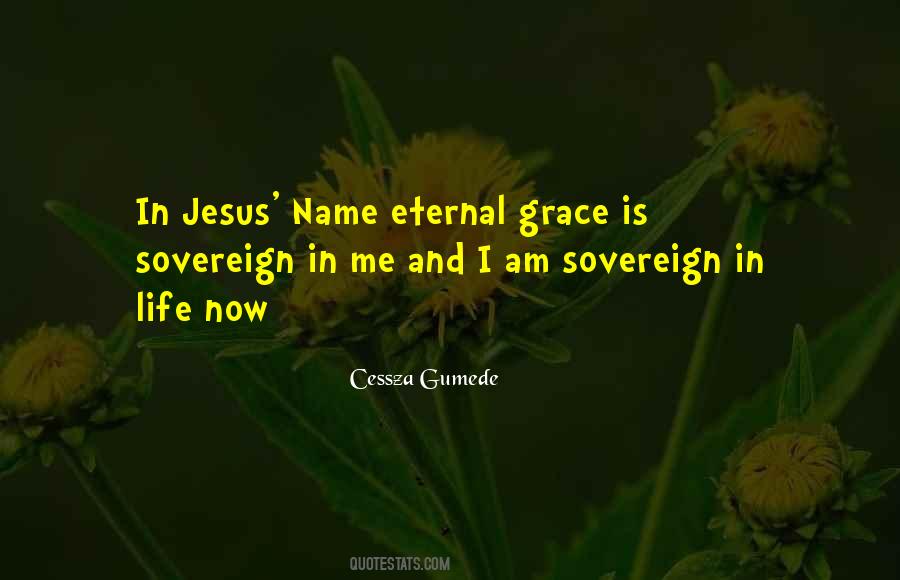 Sovereign Grace Quotes #459628