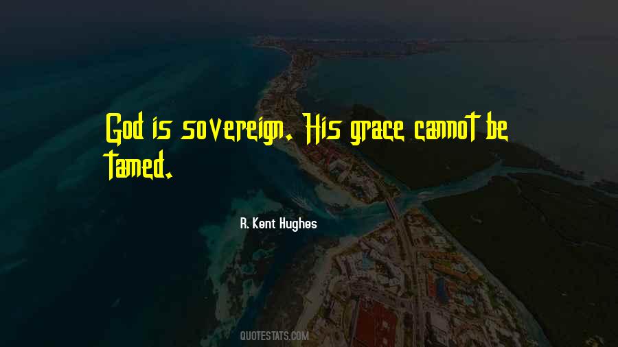 Sovereign Grace Quotes #882568