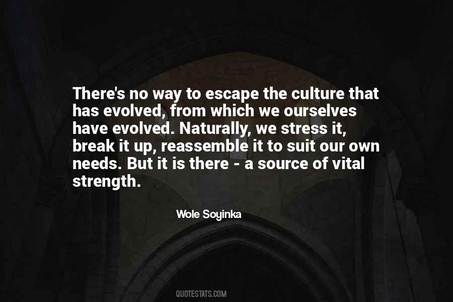 Soyinka Quotes #1020412