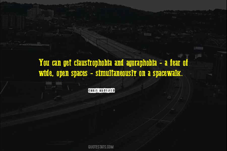 Spacewalk Quotes #1146057