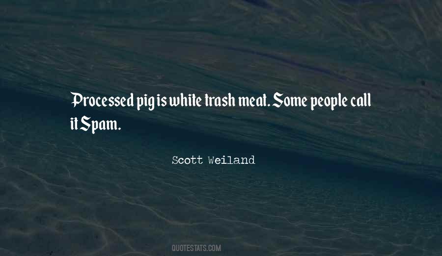 Spam Meat Quotes #70030