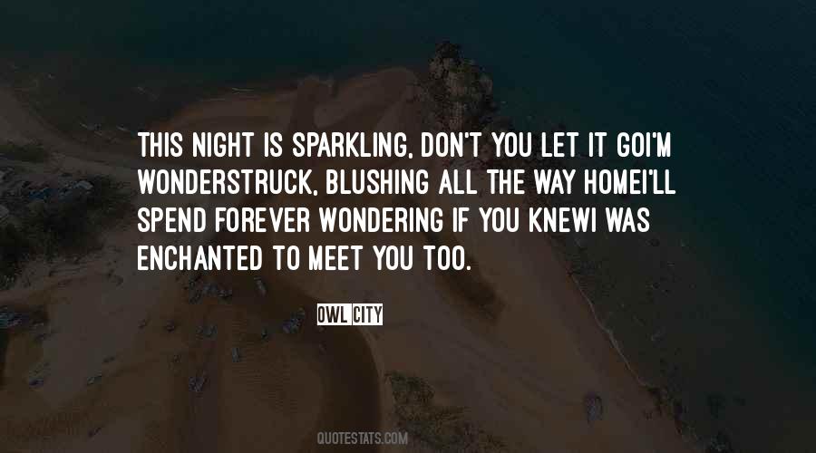 Sparkling Night Quotes #1263140