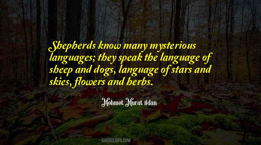Speak Less Than You Know Quotes #83007