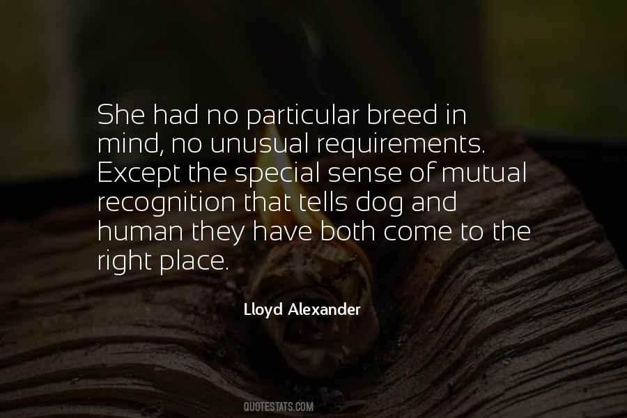 Special Breed Quotes #247363
