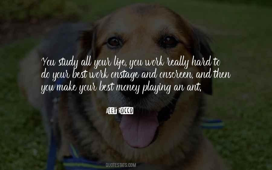 Quotes About Study Hard #237950