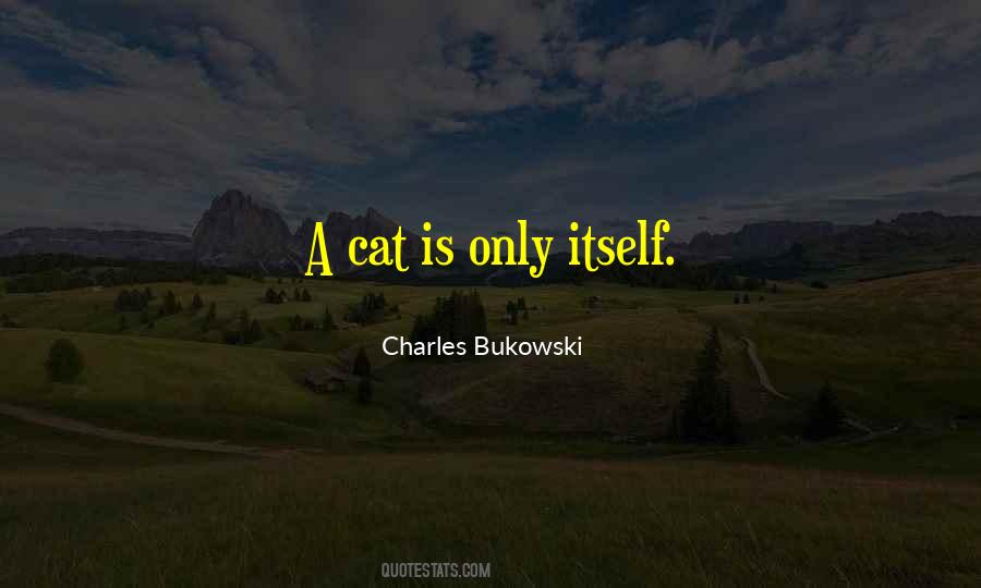 Quotes About A Cat #1367337