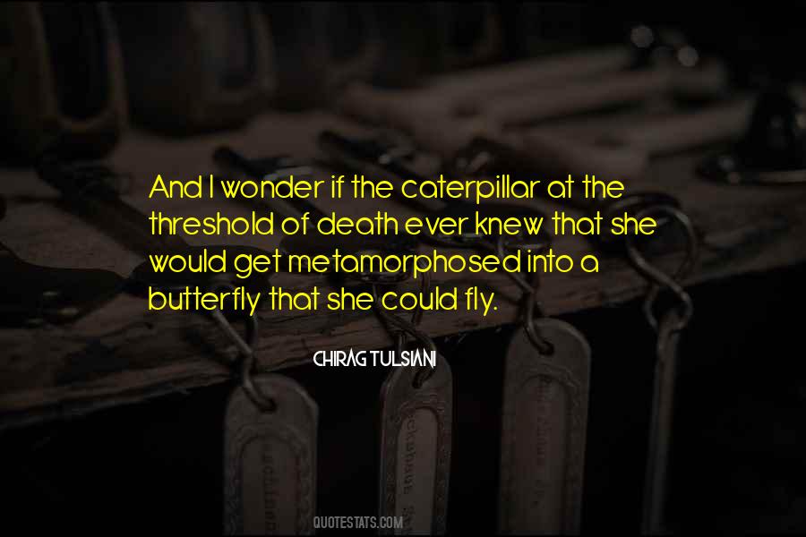 Quotes About A Caterpillar #1178370