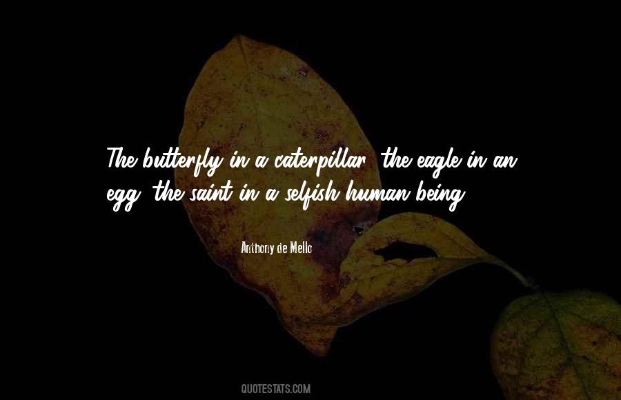 Quotes About A Caterpillar #380897